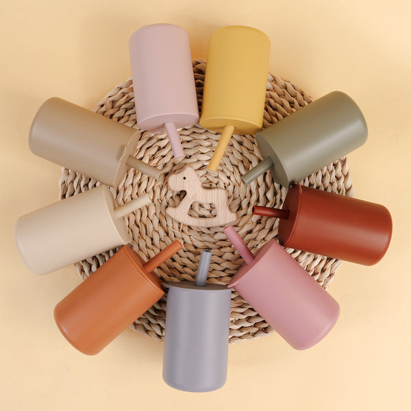 Portable Kids Learning Drinking Water Training Cup With Straw Lid For Toddler